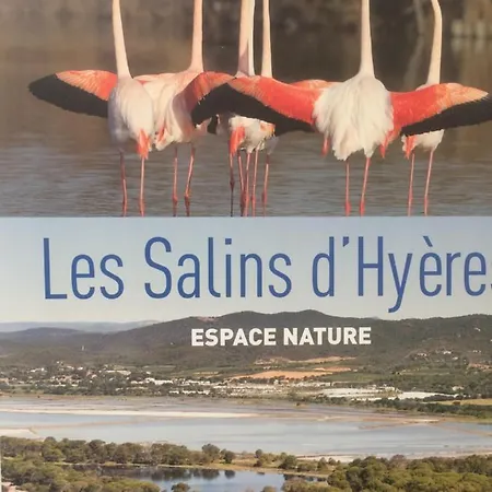 Les Salins * Hyères